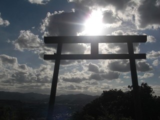 sun2.jpg